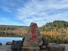 -五营红松林海景区