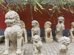 -正定古城-开元寺