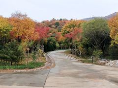 -北京西山国家森林公园