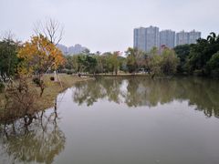 -金山公园