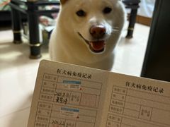 -瑞鹏宠物医院·爱宠堂·骨外专科(西荷分院)