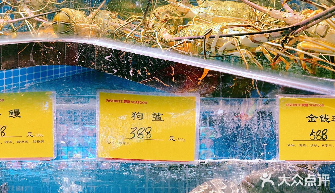 帝都粤菜天花板又开新店，更加惊艳来袭