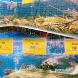 帝都粤菜天花板又开新店，更加惊艳来袭
