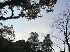 -乌山风景区