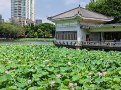 -荔湾湖公园