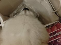 -FANEN法念·烘焙·甜点(万象城店)