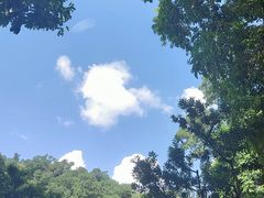 -深圳仙湖植物园