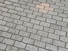 -瑞金医院-门诊部
