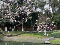 -铁像寺水街