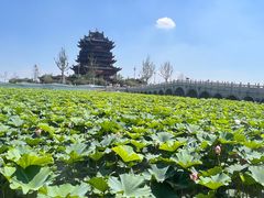 -阳澄湖半岛旅游度假区