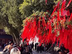 -东钱湖小普陀景区