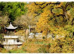 -塔川景区