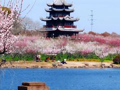 -上海海湾国家森林公园