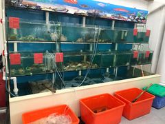水产区-毛记潮汕海鲜砂锅粥老店(平潭店)
