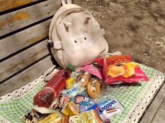 -长白岛森林公园