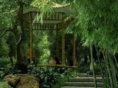 -晓港公园