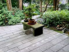 -南山植物园