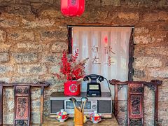 -田园印象·成都土菜院子(华阳店)