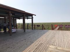 -北海金海湾红树林生态旅游区