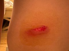 -海陵岛保利皇冠假日酒店·御公馆中餐厅 CANAL LNUA