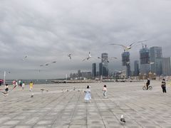 -东港音乐喷泉广场