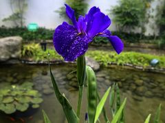 -大自然(鲁家村店)
