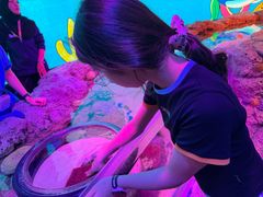 -暹罗海洋世界