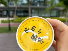 -茶人村·前滩江景雅宴(上海首店)