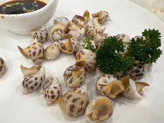 -小贝壳酒楼(经九路店)