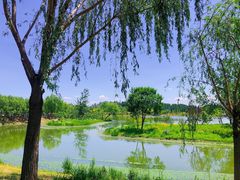 -东郊湿地公园
