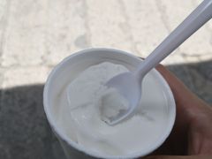 -洪馨椰子