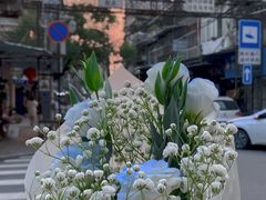 -溪岸路花鸟市场