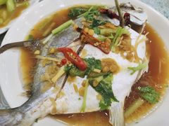 清蒸海昌鱼-潮汕铺老店(甜水井店)