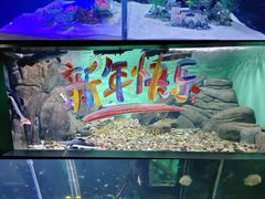 -常州海昌海洋探索馆