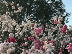 -晋祠博物馆