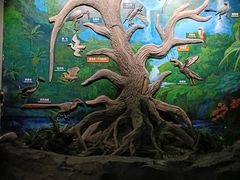 -辽宁古生物博物馆