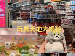 -TOYSRUS玩具反斗城(合肥华润万象城店)