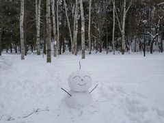 -北海道神宫