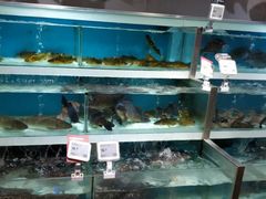-盒马鲜生(枣园路店)
