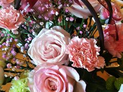 -蓬莱欧乐堡梦幻世界