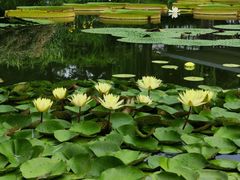 -国家植物园南园