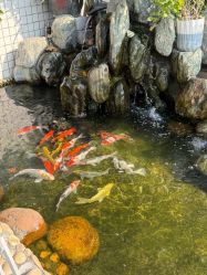 -维倪月子会所(独栋庭院·南海店)
