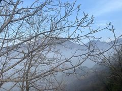 -秦岭终南山世界地质公园翠华山景区