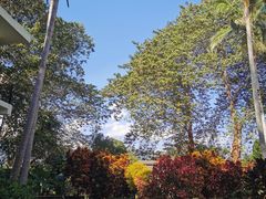 -中国科学院西双版纳热带植物园