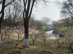 -大兴滨河森林公园