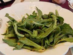 沙棘冰草-凯鸽酒楼(操场城店)