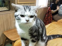 -藦茜花园宠物主题亲子互动体验馆(国顺东路店)