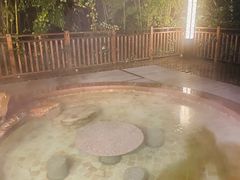 -天目湖涵田半山温泉