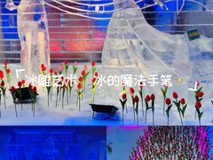 -荷兰花海