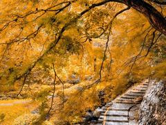 -莫干山风景区
